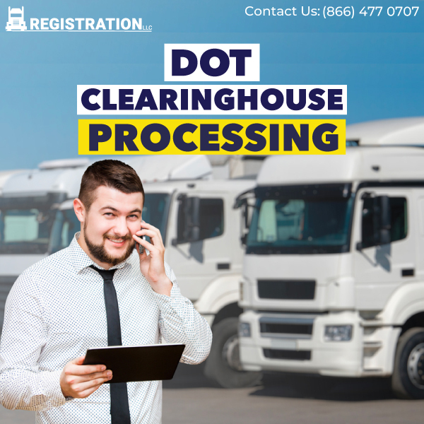 What is a DOT Clearinghouse Query?