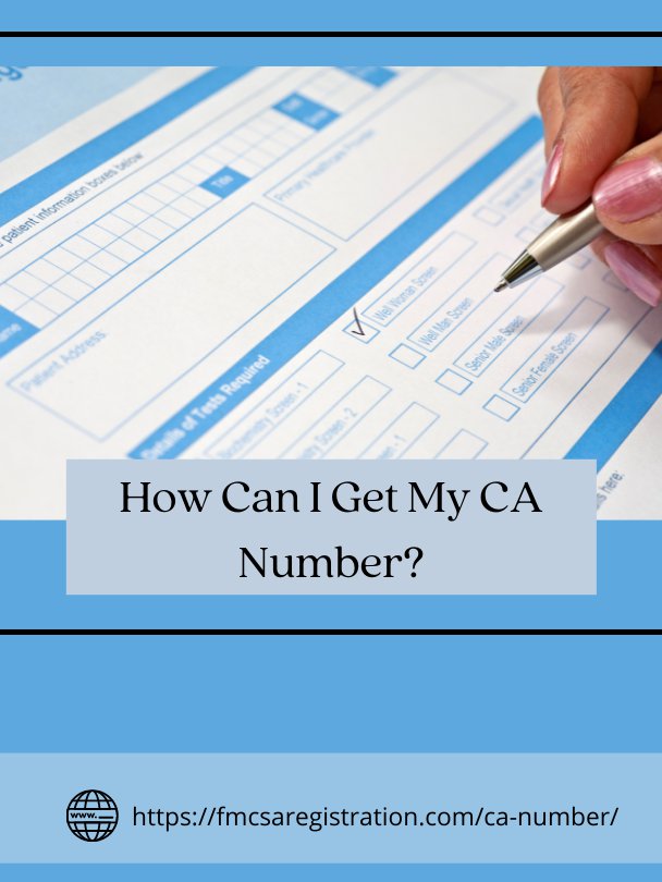 How Can I Get My CA Number?