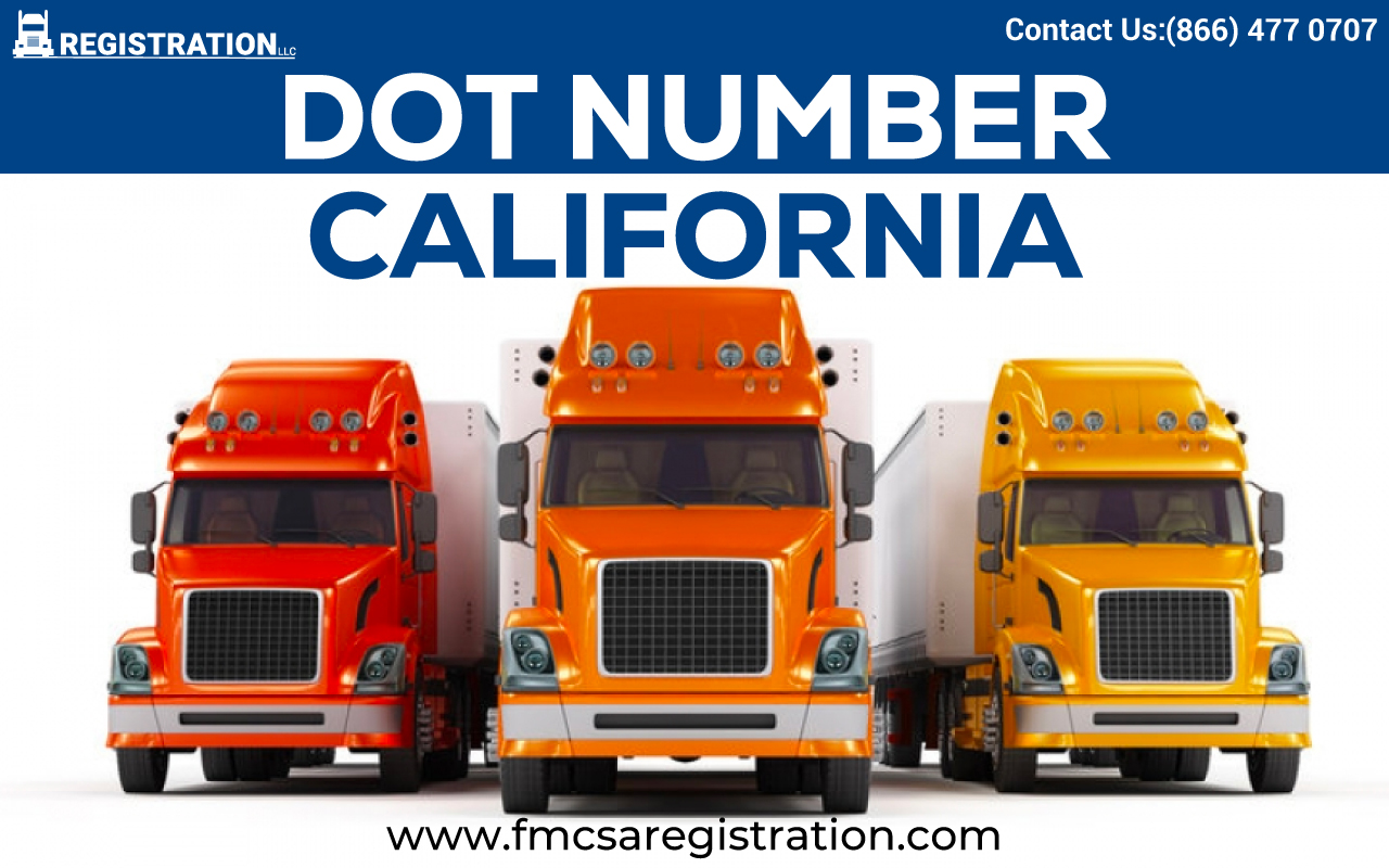 DOT Number California  product image reference 5