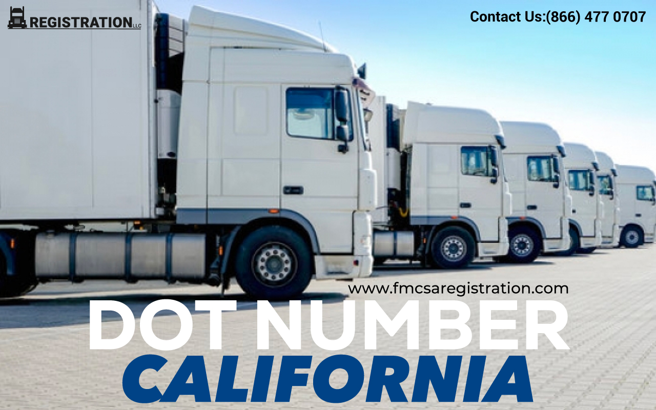DOT Number California  product image reference 4