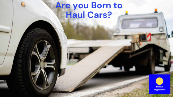 How To Start a Car Hauling Business product image reference 3
