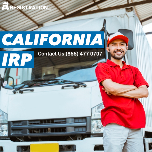 We Can Help You Apply for IRP Today