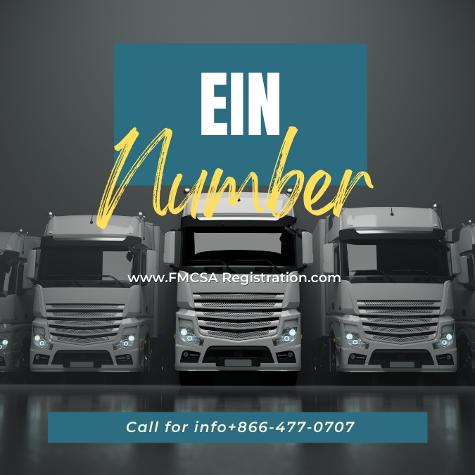 What Are EIN Numbers?
