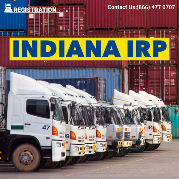 Indiana IRP product image reference 3