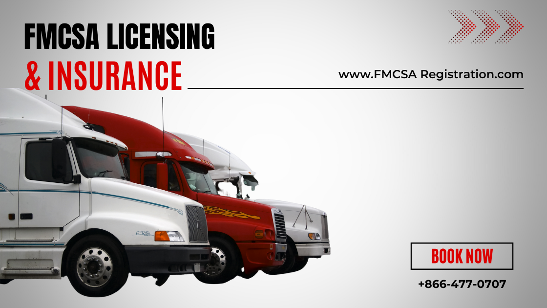 FMCSA Licensing and Insurance Image